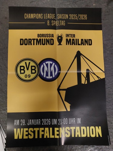 Spielplakat poster bvb - poster,
